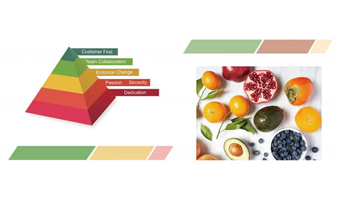 The Industrial Chain Of Agricultural And Forestry Water-Retaining Agents Industry